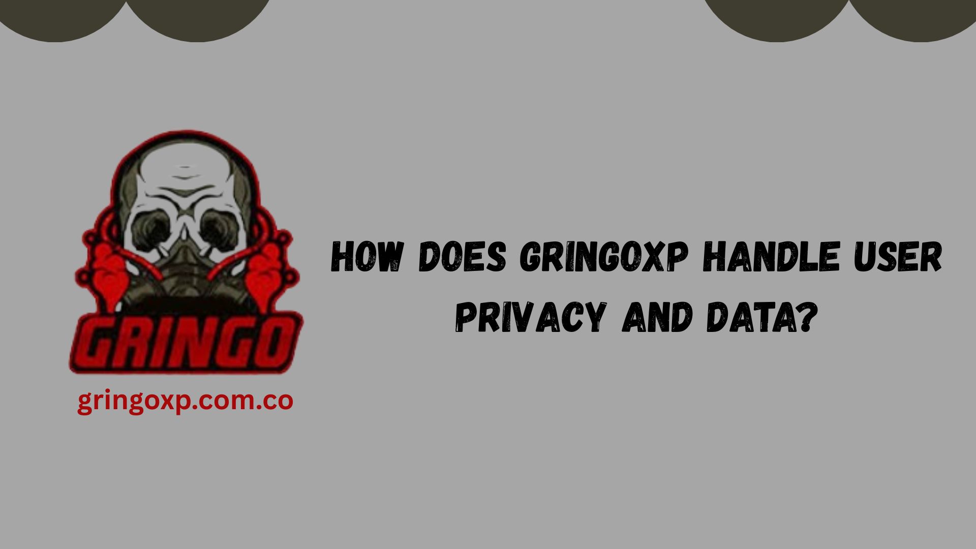 Gringo XP