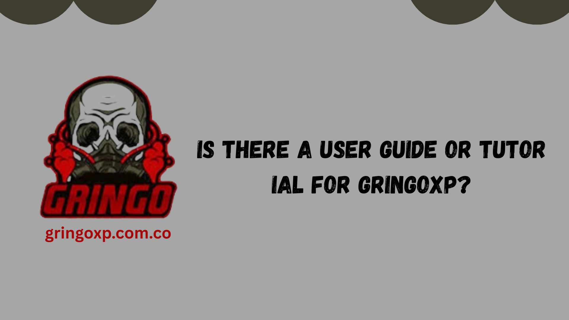 Gringo XP