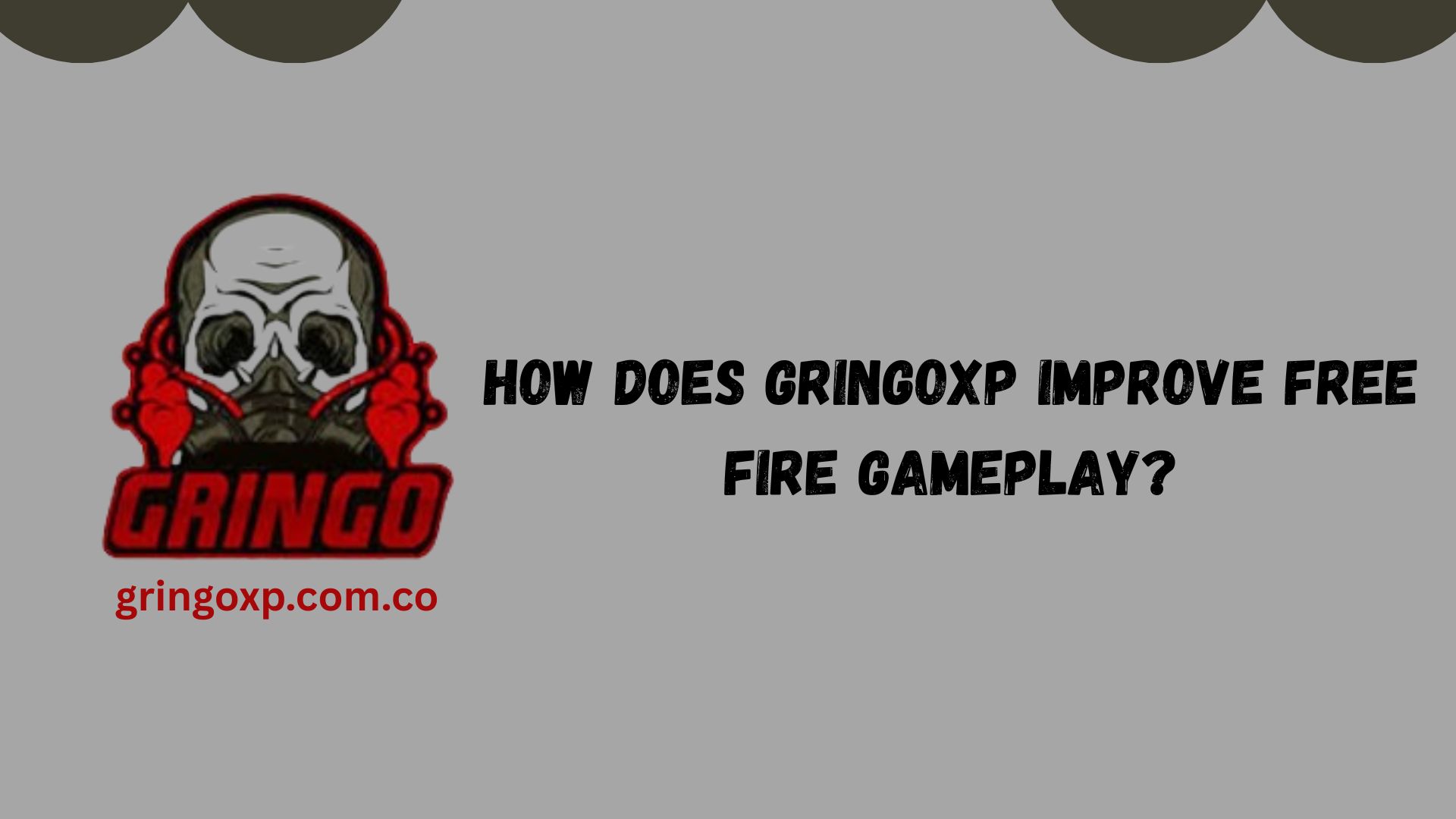 Gringo XP