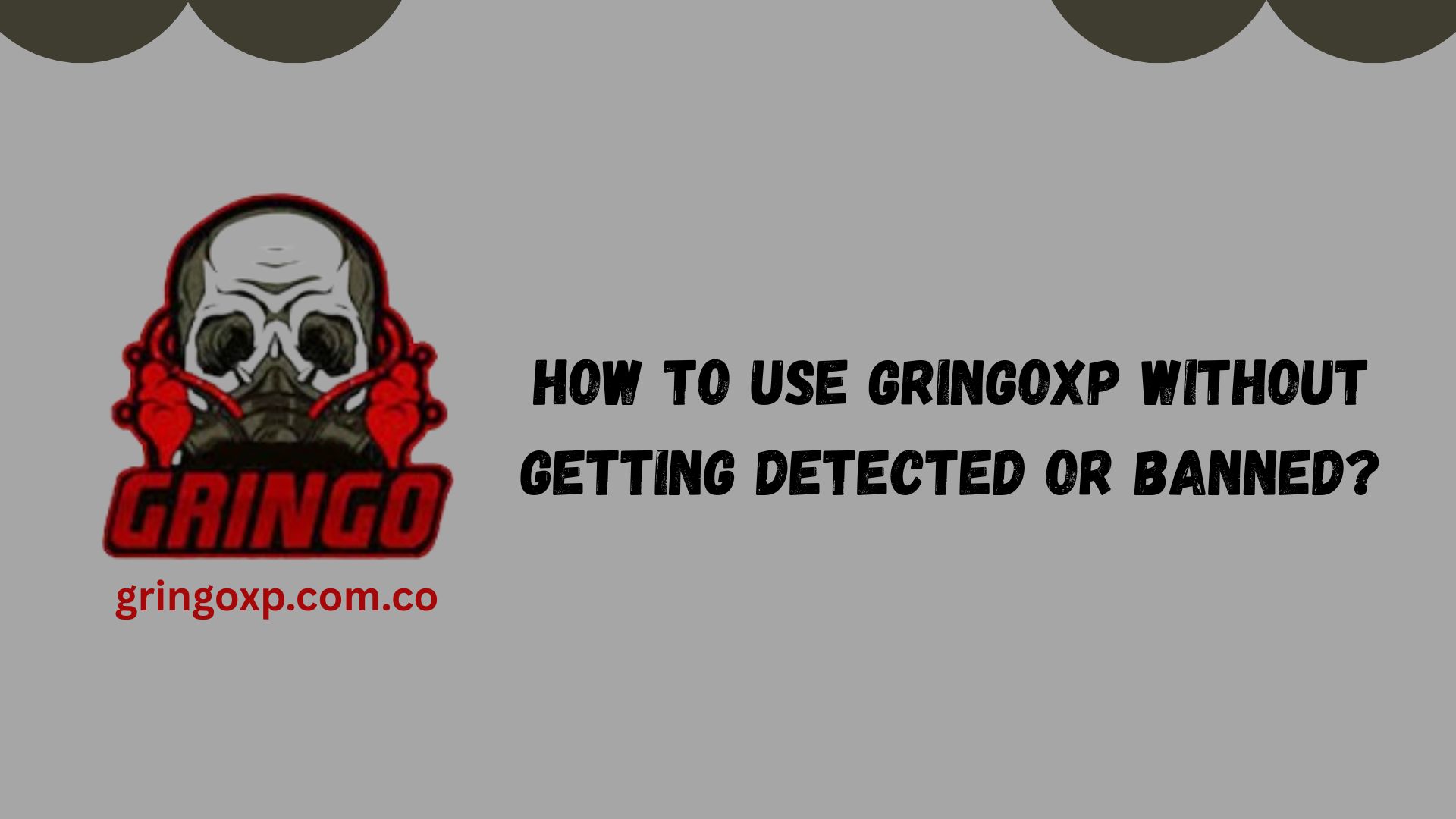 Gringo XP